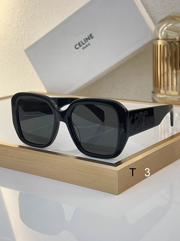 Celine Sunglasses ID:20240804-90